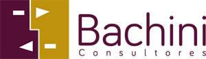 Bachini Consultores